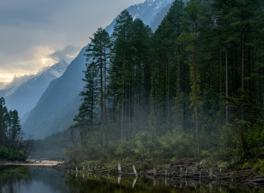 ARUNACHAL PRADESH - (Beyond Myths & Mountains)